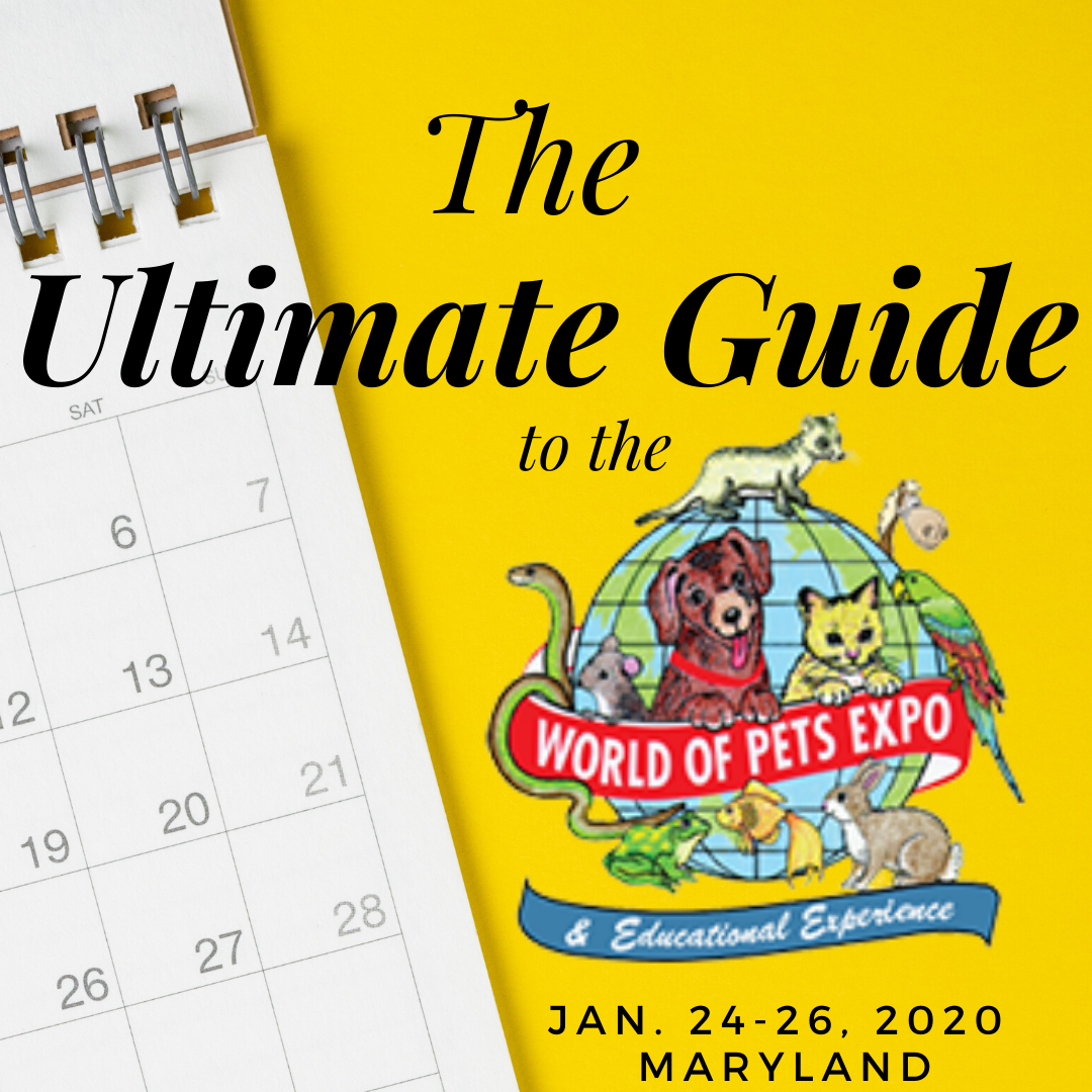 The Ultimate Guide to the 2020 World of Pets Expo in MD World of Pets